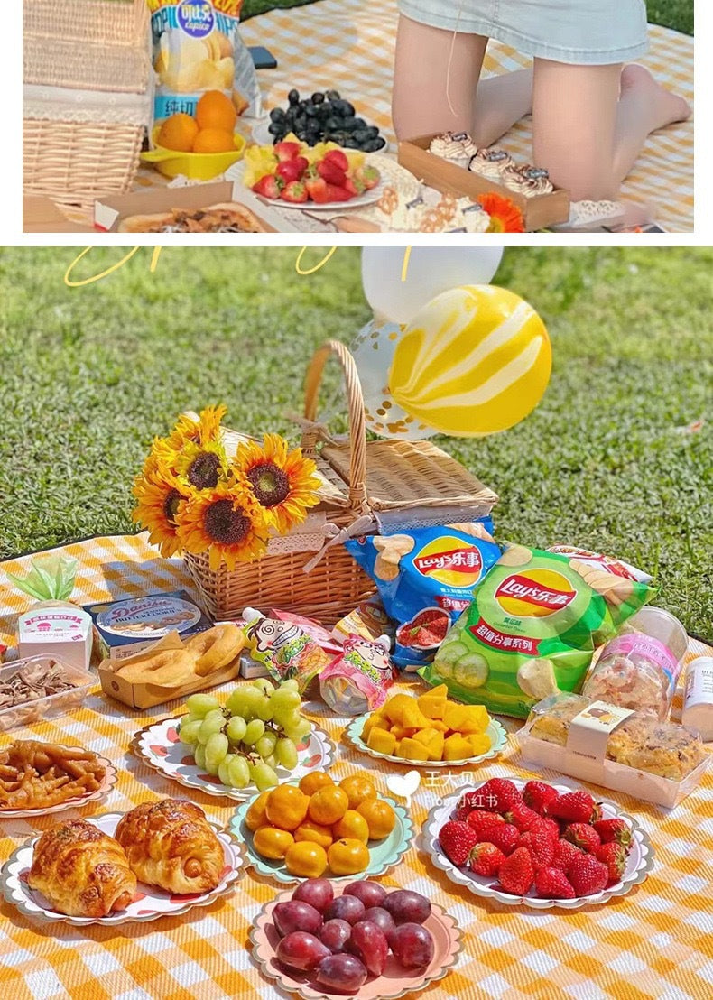 Picnic Mat Outdoor Moisture-Proof Portable Spring Outing Mat Thickened Camping Mat Beach Essential Supplies Picnic Cloth