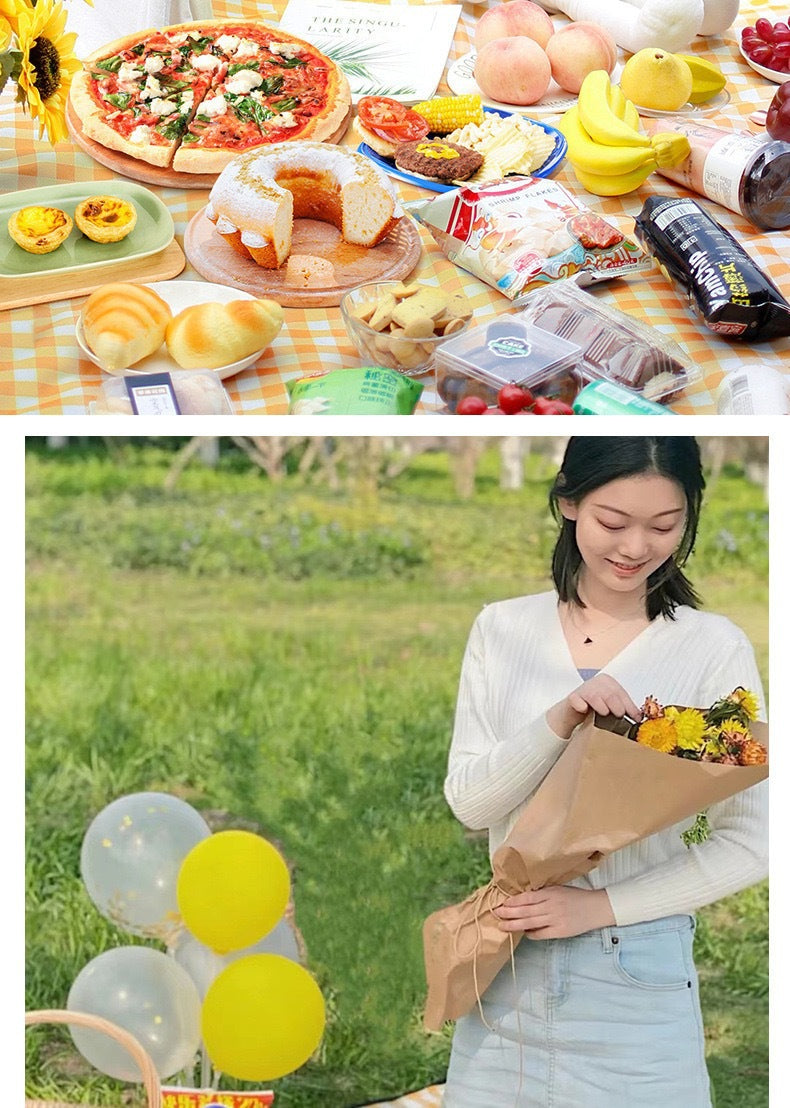 Picnic Mat Outdoor Moisture-Proof Portable Spring Outing Mat Thickened Camping Mat Beach Essential Supplies Picnic Cloth
